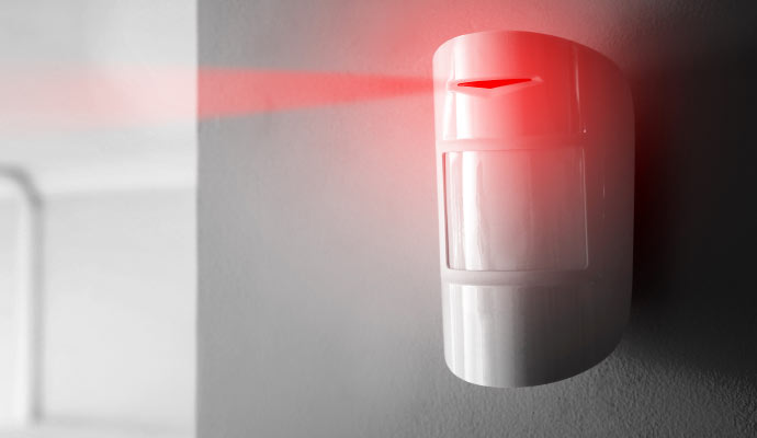 Motion detection system